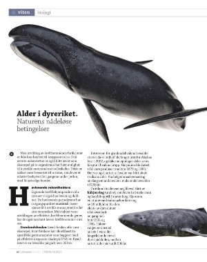 aftenposten_innsikt-20220130_000_00_00_062.pdf