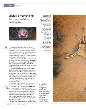 aftenposten_innsikt-20220130_000_00_00_064.pdf