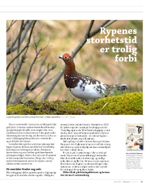 aftenposten_innsikt-20240501_000_00_00_081.pdf