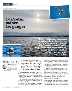 aftenposten_innsikt-20240904_000_00_00_078.pdf