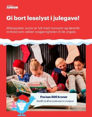 aftenposten_innsikt-20241129_000_00_00_110.pdf