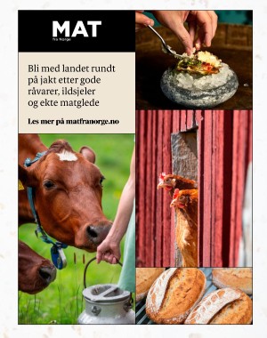 aftenposten_innsikt-20250130_000_00_00_017.pdf