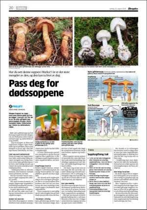 aftenposten_kultur-20160820_000_00_00_020.pdf