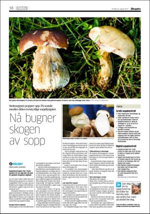 aftenposten_kultur-20170825_000_00_00_016.pdf