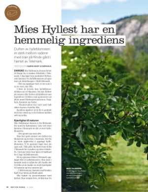 aftenposten_mat-20200614_000_00_00_044.pdf