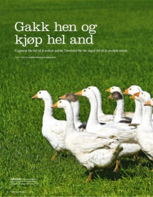 aftenposten_mat-20200719_000_00_00_008.pdf