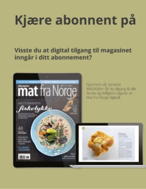 aftenposten_mat-20200719_000_00_00_118.pdf