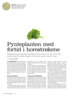 aftenposten_mat-20201115_000_00_00_078.pdf