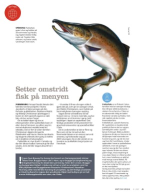 aftenposten_mat-20210822_000_00_00_043.pdf