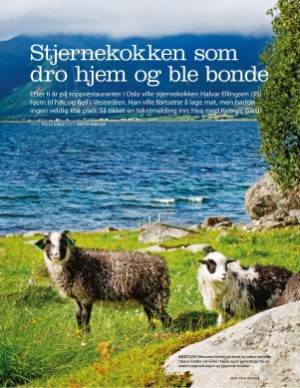 aftenposten_mat-20220116_000_00_00_009.pdf