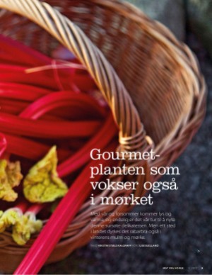 aftenposten_mat-20220515_000_00_00_009.pdf