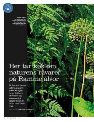 aftenposten_mat-20220619_000_00_00_036.pdf