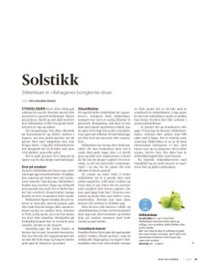 aftenposten_mat-20240724_000_00_00_099.pdf