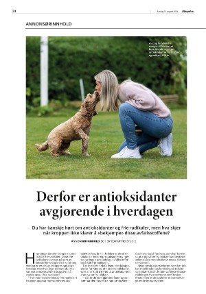 aftenposten_morgen-20240831_000_00_00_024.pdf