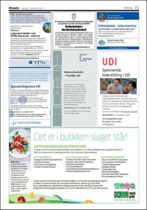 aftenposten_nyaften-20131103_000_00_00_015.pdf