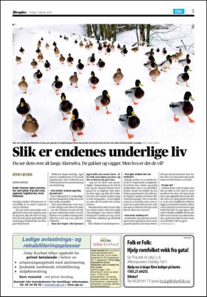 aftenposten_okonomi-20130201_000_00_00_003.pdf