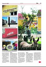 aftenposten_puls-20070608_000_00_00_011.pdf