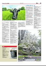 aftenposten_puls-20080516_000_00_00_019.pdf