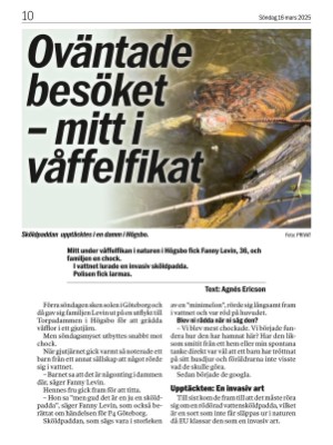 aftonbladet-20250316_000_00_00_010.pdf