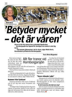 aftonbladet-20250316_000_00_00_016.pdf