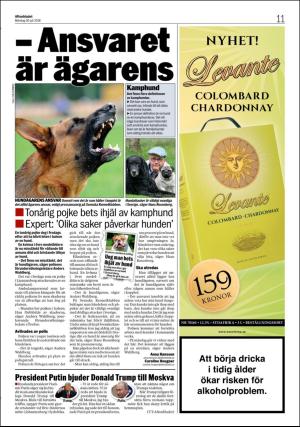 aftonbladet_3x-20180730_000_00_00_011.pdf