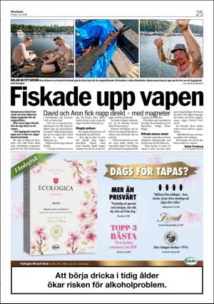 aftonbladet_3x-20190607_000_00_00_025.pdf