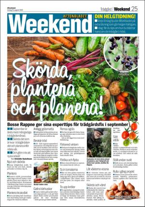 aftonbladet_3x-20190831_000_00_00_025.pdf