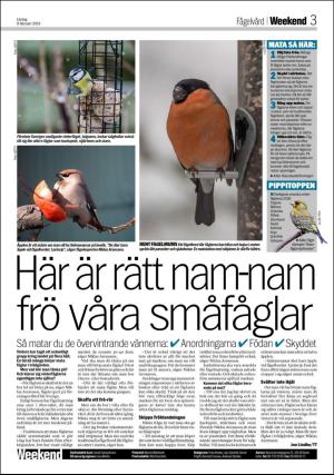 aftonbladet_bilaga-20190209_000_00_00_003.pdf