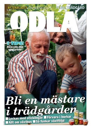 Aftonbladet Bilaga 2024-04-30