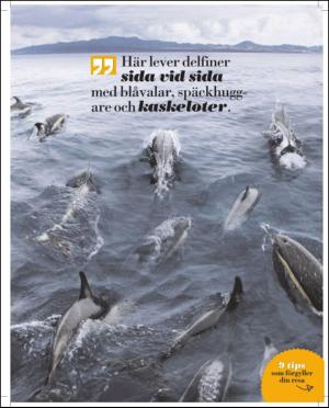 aftonbladet_sondag-20110814_000_00_00_083.pdf