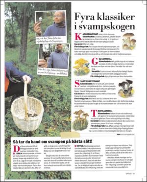 aftonbladet_sondag-20110925_000_00_00_055.pdf