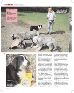 aftonbladet_sondag-20120527_000_00_00_016.pdf