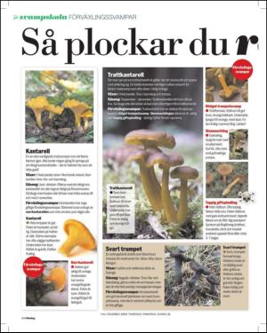 aftonbladet_sondag-20120812_000_00_00_044.pdf