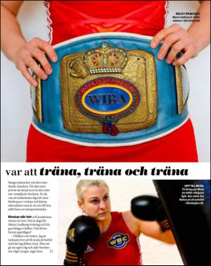 aftonbladet_sondag-20130324_000_00_00_015.pdf