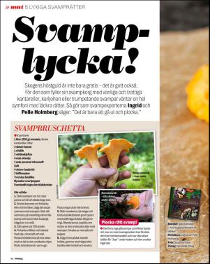 aftonbladet_sondag-20150913_000_00_00_052.pdf