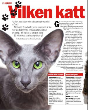 aftonbladet_sondag-20151129_000_00_00_024.pdf