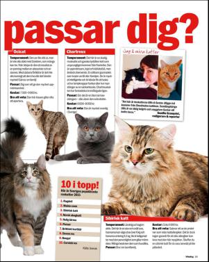 aftonbladet_sondag-20151129_000_00_00_025.pdf