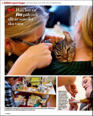 aftonbladet_sondag-20151220_000_00_00_046.pdf