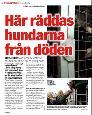 aftonbladet_sondag-20160131_000_00_00_060.pdf