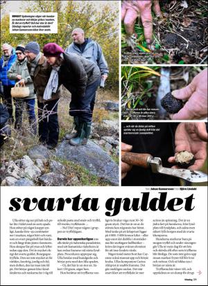 aftonbladet_sondag-20161106_000_00_00_059.pdf