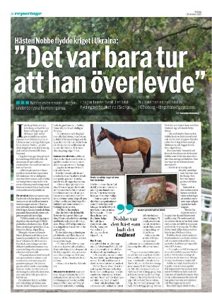 aftonbladet_sondag-20231029_000_00_00_006.pdf