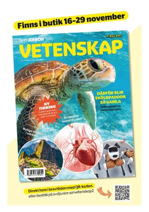 aftonbladet_sondag-20241124_000_00_00_028.pdf