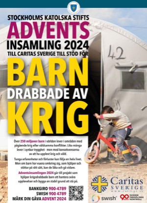 aftonbladet_tv-20241202_000_00_00_100.pdf