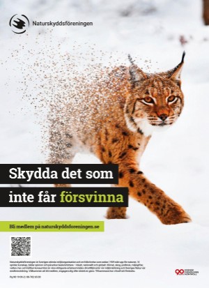 aftonbladet_tv-20250120_000_00_00_099.pdf