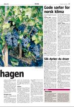 agderposten_sec2-20080513_000_00_00_037.pdf