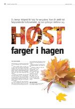 agderposten_sec2-20080923_000_00_00_030.pdf