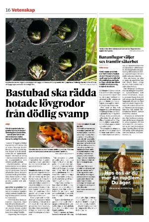 arbetarbladet-20240903_000_00_00_016.pdf