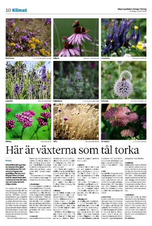 bargslagsbladet-20240612_000_00_00_010.pdf