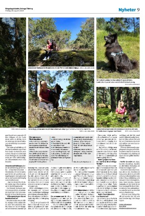 bargslagsbladet-20240816_000_00_00_009.pdf