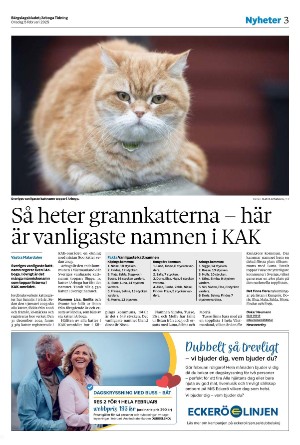 bargslagsbladet-20250205_000_00_00_003.pdf